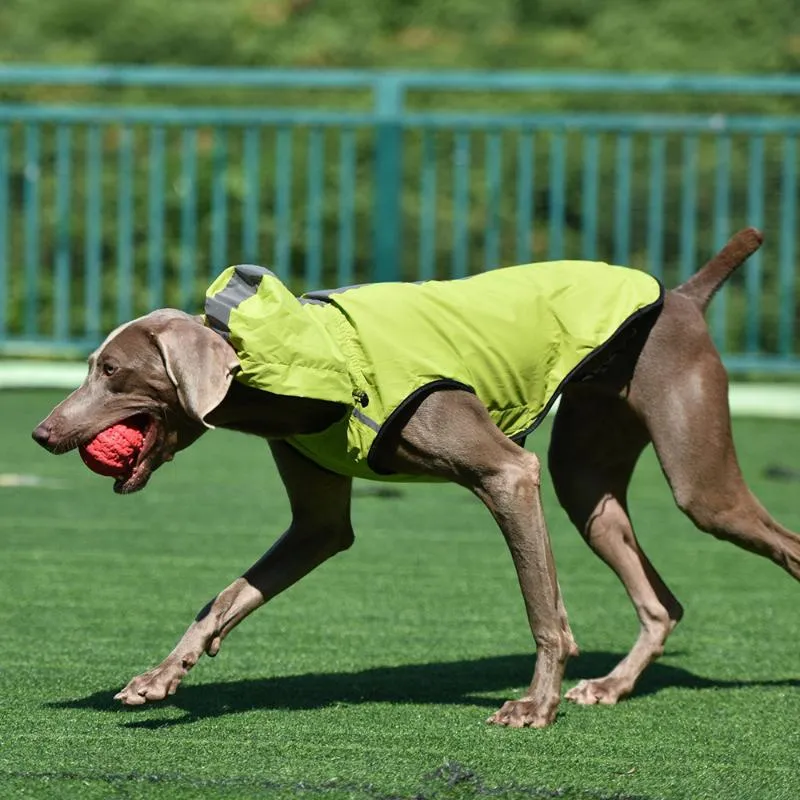 Vestuário de cachorro grande capa de chuva roupas impermeáveis ​​para traje de casaco grande golden retriever labrador com capuz de capuz de roupas de estimação