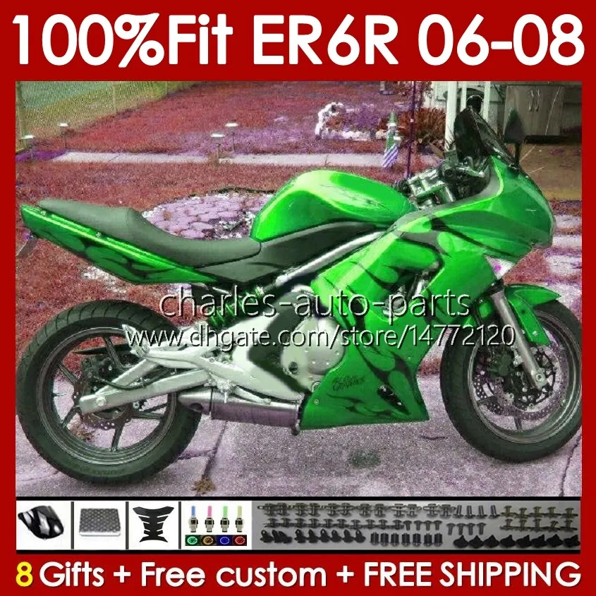 OEM Bodys Kit för Kawasaki Green Flames Ninja 650R ER6 650 R ER 6 F 06-08 Kroppsarbete 139NO.94 650-R ER 6F 650R-ER6F ER-6F 2006 2007 2008 ER6F 06 07 08 INJESCTER Mögelmöjligheter