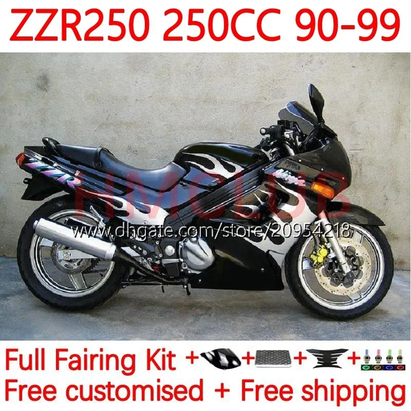 Body Kit für Kawasaki Ninja ZZR250 ZZR-250 90 91 92 93 94 95 96 97 98 99 Bodywork 16no.8 ZZR 250 CC 1990 1991 1992 1993 1994 1995 1996 1998 1999 OEM-Verkleidung Silber Flammen