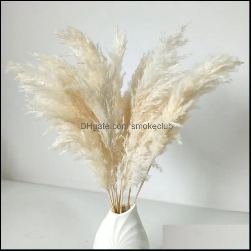 Decorative Flowers & Wreaths Natural Pampas Grass White Color Real Dried Bouquet Boho Wedding Arrangement Decoration Christmas Home Party