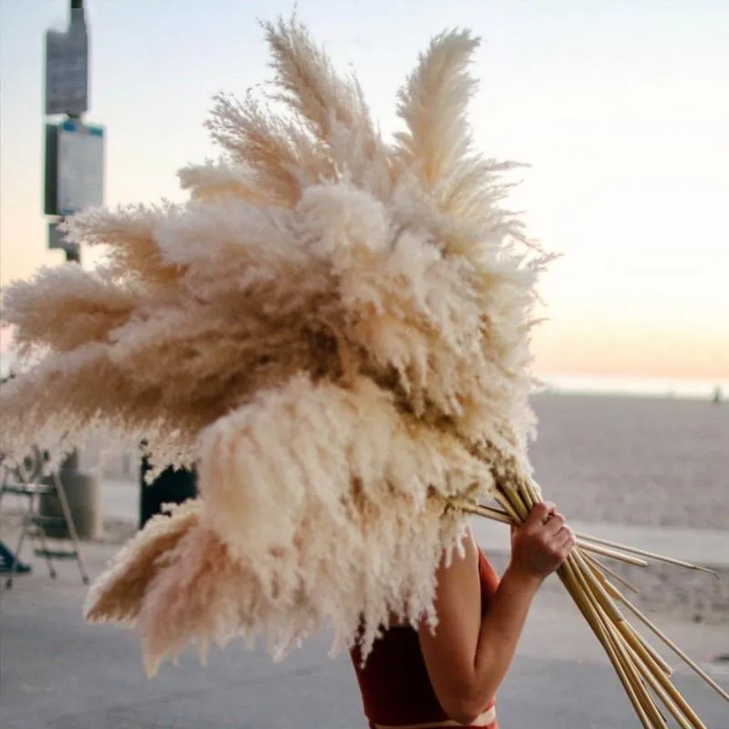 Decorative Flowers & Wreaths Large Pampas Grass 48"Dried Fluffy Natural Dried Home Boho Decor Country Wedding Pompas Floral DecorationD