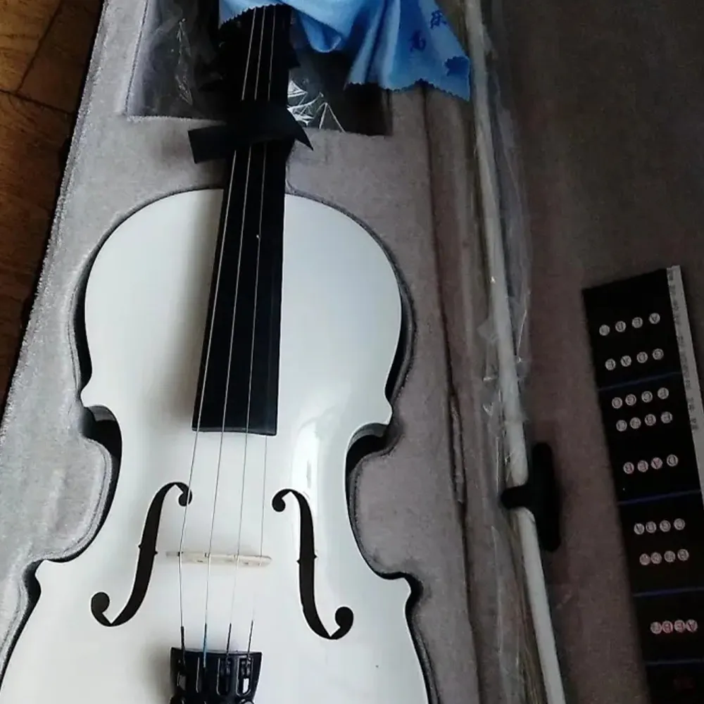 DHgate Solid Wood Black White Violin Full Range of Stringed Instruments for Beginners Professionals Musical Instruments