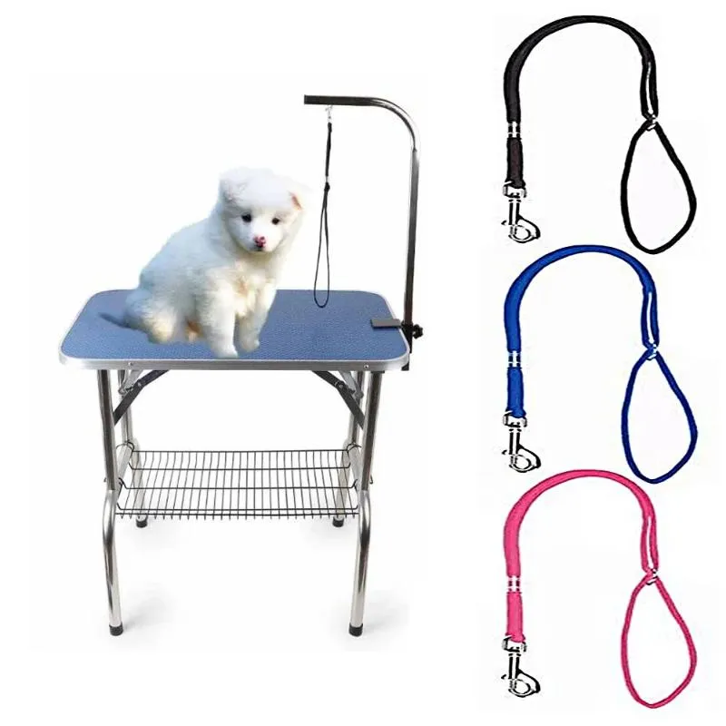 Colliers et laisses pour chiens, 1 pièce, pour Table de toilettage, Clip, corde, harnais, accessoires de retenue pour animaux de compagnie, fournitures, verrouillage à boucle