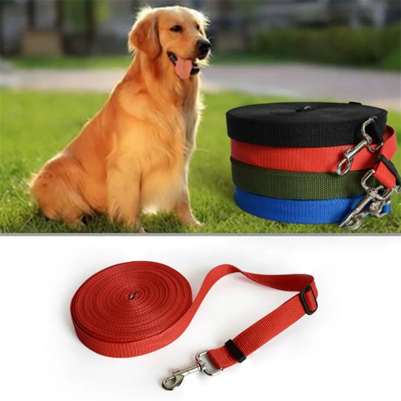 Collari per cani Guinzagli Cat Nylon Pettorina da addestramento Guinzaglio Larghezza 2,5 cm Cucciolo di animale domestico Lungo Trazione regolabile Collare di piombo Corda CinturaCane