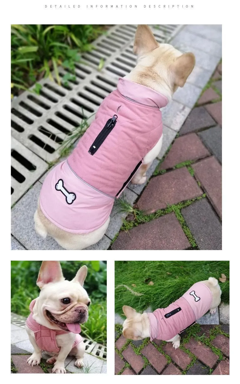 Clothing for Dogs (7E)