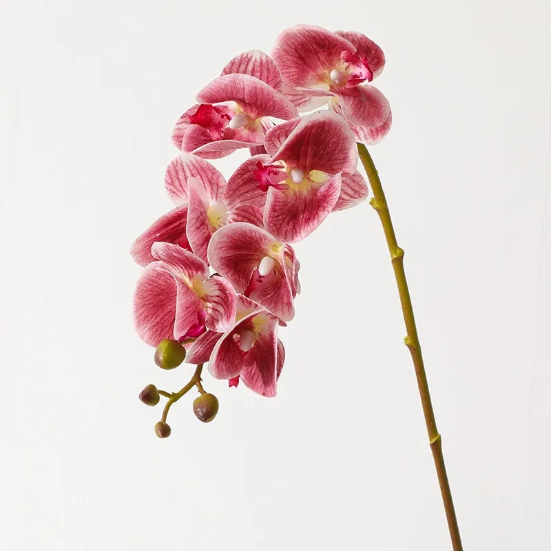 Konstgjorda phalaenopsis blommor bröllop hem dekorationer riktig touch butterfly orkidé