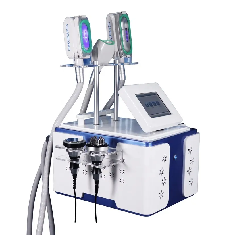 Lipofreeze Criolipolisis Machine Cryolipolysis Fat Freezing Belly Thigh Fats Removal 3 Handles Work Liposuction Body Contour