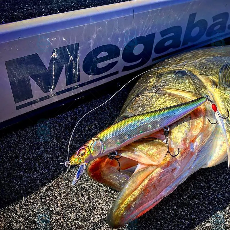 JAPAN Megabass Gold Bomber Lure VISION ONETEN Jr Racing Suspend Slow  Floating MINNOW Bass Jerkbait For Saltwater Sea Tackle From Long07, $30.45