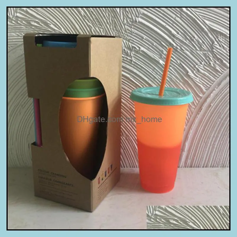 2020 temperature changing cup plastic insulated drinking tumbler with lids and straws magic coffee mug water bottle