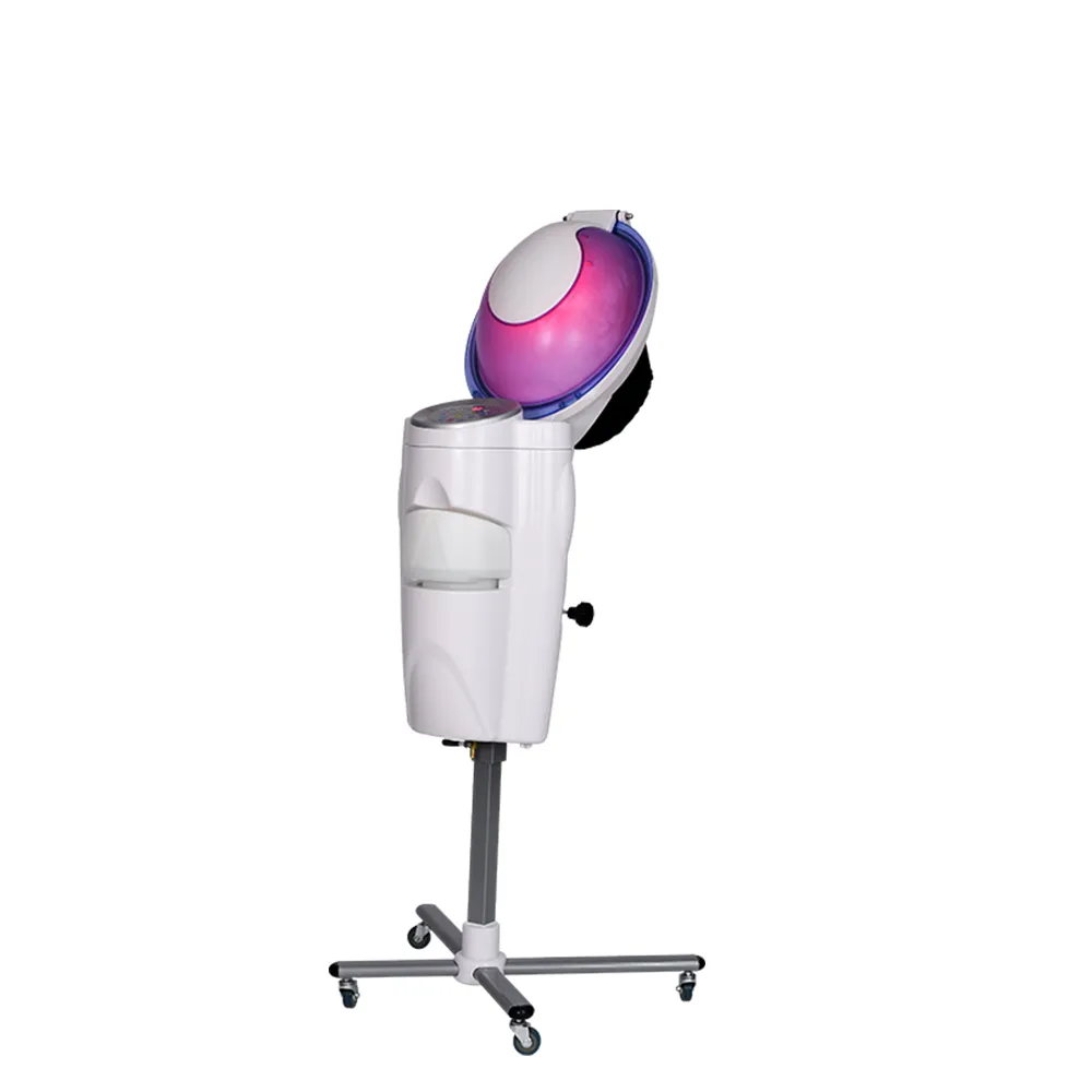 Thermische micro -mist voedende haarverzorgingsstandaard Spa Professional Hair Steamer