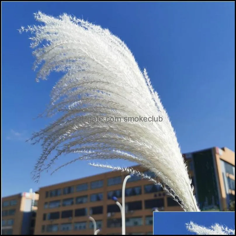 Decorative Flowers & Wreaths Natural Phragmites Reed Bulrush Bouquet Small Dried Pampas Grass Wedding Decoration Easter INS DIY Home