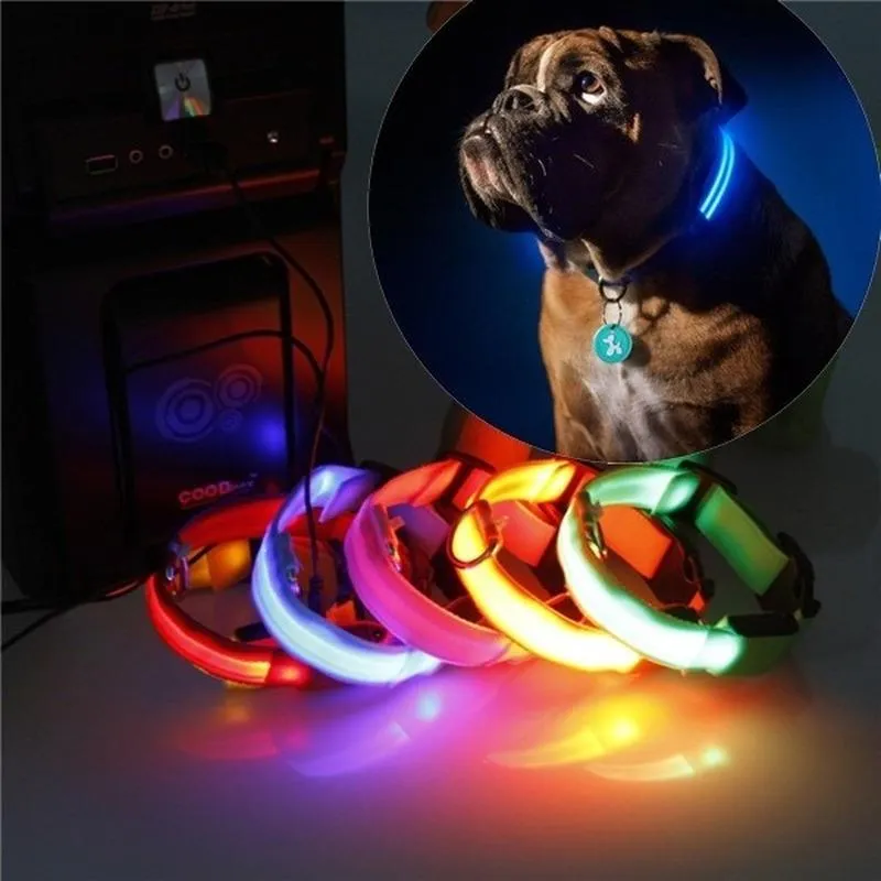 Colliers pour chiens Laisses Usb Charge Collier Led Sécurité Lumineux Pet Light Up Night Nylon Collier Fils Lumineux Pour Chiens SafetyDog