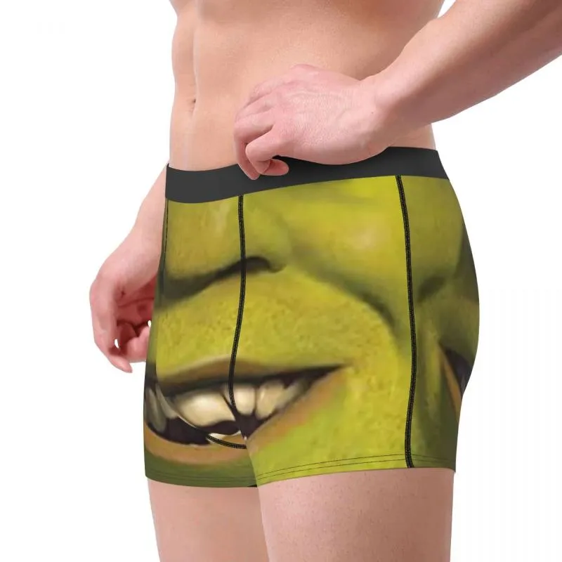 Shrek Smilling Mask Boxer Funny Boxer Briefs Funny Polyester Underwear For  Men S XXL From Jst2015, $97.9