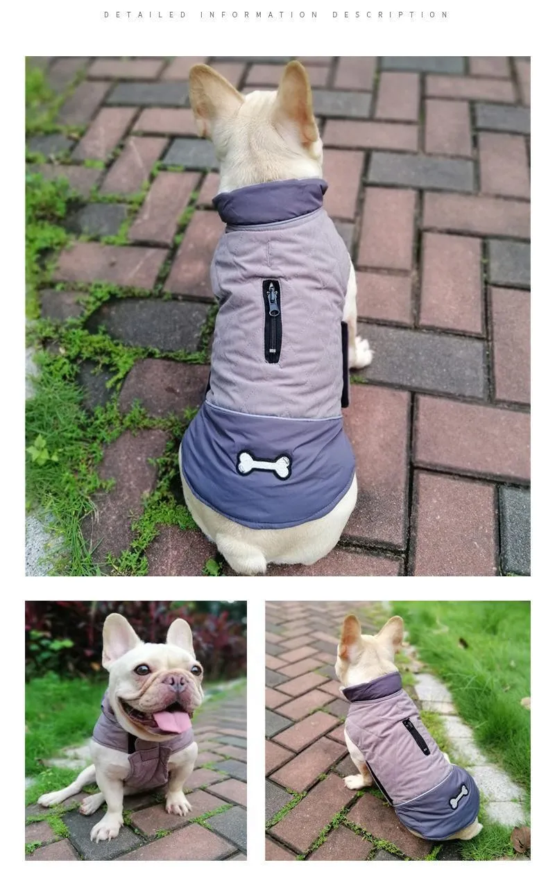 Clothing for Dogs (7D)