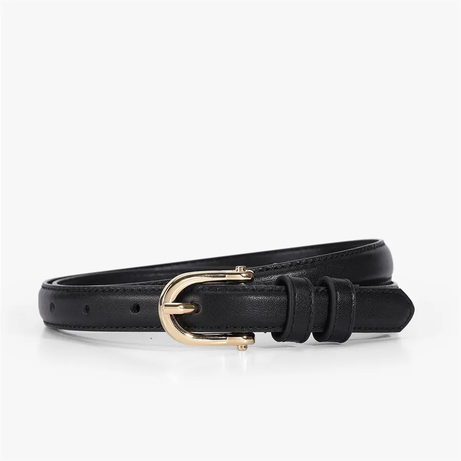 NS Niche Temperament Design Horseshoe Belt Female All-Match Thin Gold Pin Buckle Belt Fashion Gift Accessories