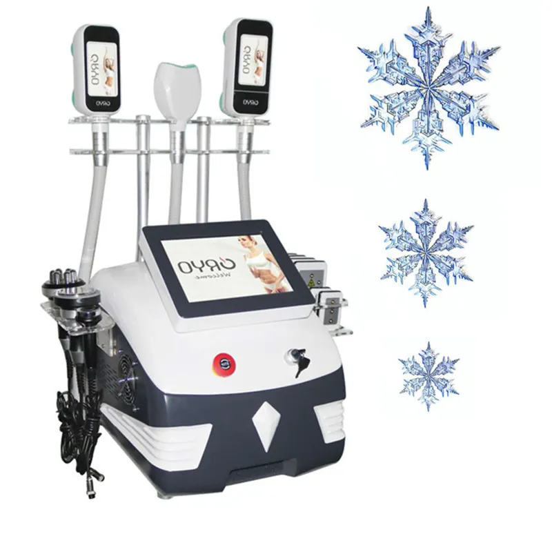 360 Cryo Fat Freezing Macchina dimagrante Vuoto freddo 40K Cavitazione Liposuzione laser RF Congelamento del grasso Riduzione del peso Rimozione della cellulite Rafforzamento della pelle Sollevamento del viso