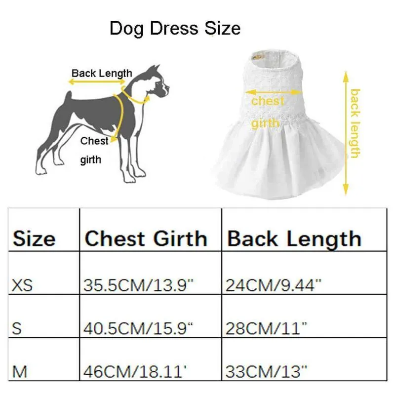 dog dress size