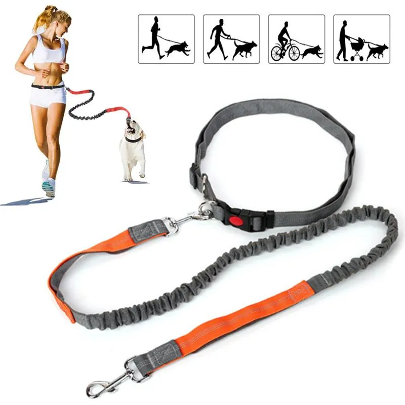 Colliers pour chiens Laisses Laisse rétractable avec corde de taille réglable Course à pied Jogging Cyclisme Marche Antidéflagrant Fournitures pour animaux de compagnie AccessoiresD