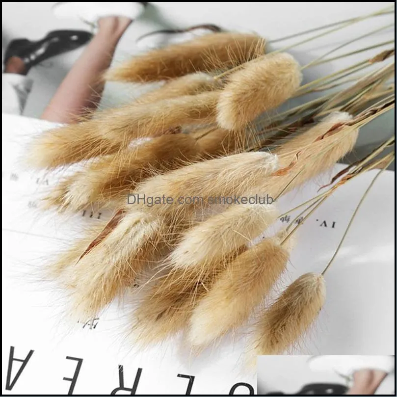 Decorative Flowers & Wreaths Multicolor Natural Dried Bouquet Real Tail Grass Fluffy Pampas Decor Mariage Room Wedding Decoration