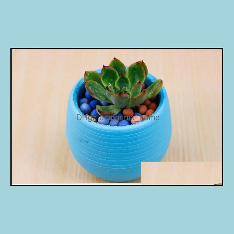 Mini Round Plastic Meat Plant Flower Pot Garden Home Office Decor Micro Landscape Planter High Quality c537