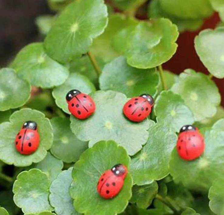 Miniature Ladybug Fairy Home Garden Ornament Figurines Flower Pot Succulents Plant House Decor Bonsai Resin Craft Dollhouse Micro Landscape Decor