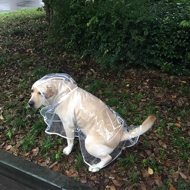Hundkläder husdjur vattentät regnrock transparenta saker regn mössa klädrock god kvalitet modefabrik grossistog