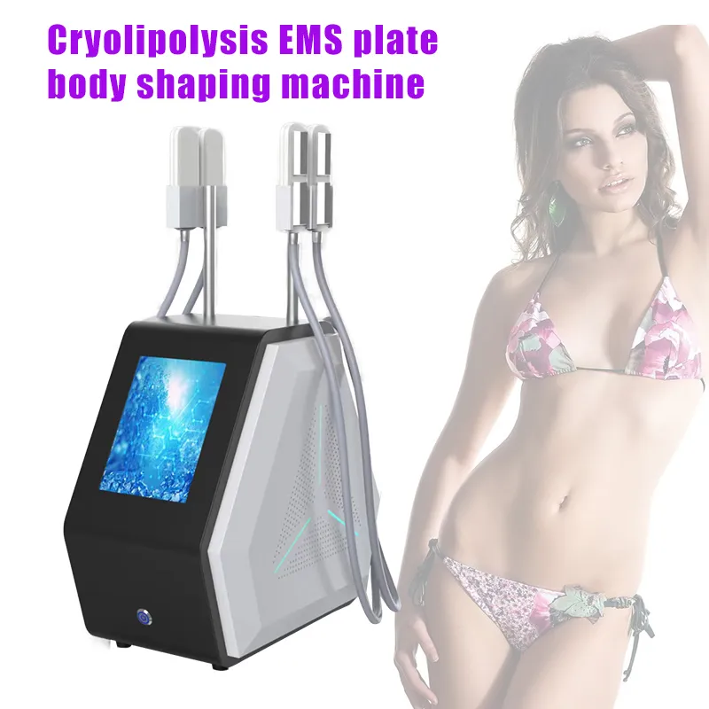 2 IN 1 cryolipolysis vetverlies cryoskin ems afslankmachine cool lichaam vormgeven Schoonheidsapparatuur van hoge kwaliteit