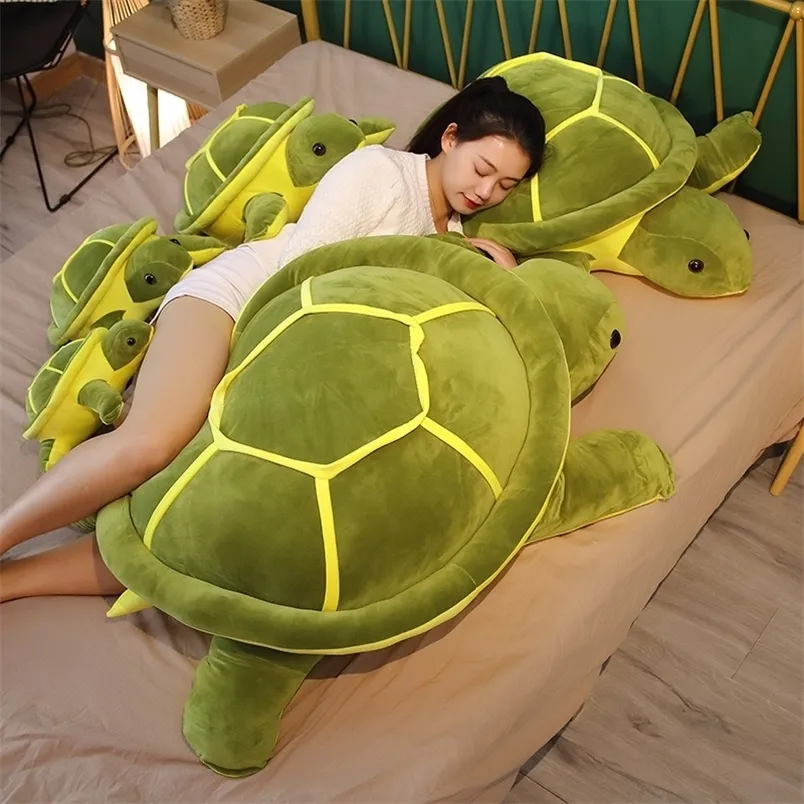 Lovely Tortoise Turtle Soft Toy Kawaii Stuffed Animal Doll For Girls Soft Sea Turtle Pillow 35 45 55cm Perfect Birthday Gift 220409 From Daye08 7.83 DHgate.Com