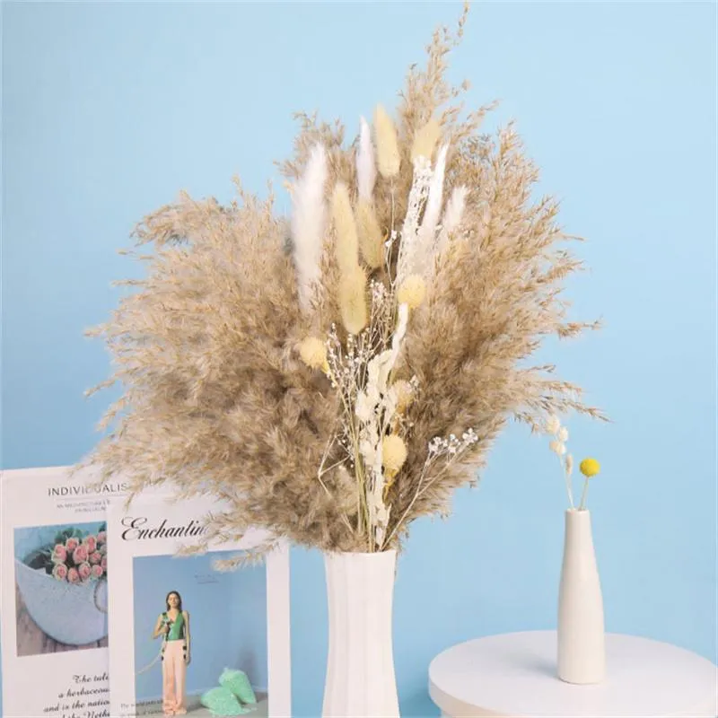 Couronnes De Fleurs Décoratives 30pcs Branches De Bouquet De Fleurs De Pampa Séchées Naturelles Boho Po DeCor Maison Pour La Fête De Mariage Fleurs Sechees Exotic A