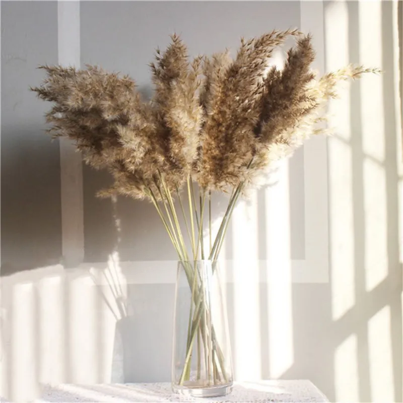 20 stengels gedroogde pampas gras bouquetwedding decor gedroogde bloemenschristmas decoraties voor homartificiële bloemen 201203