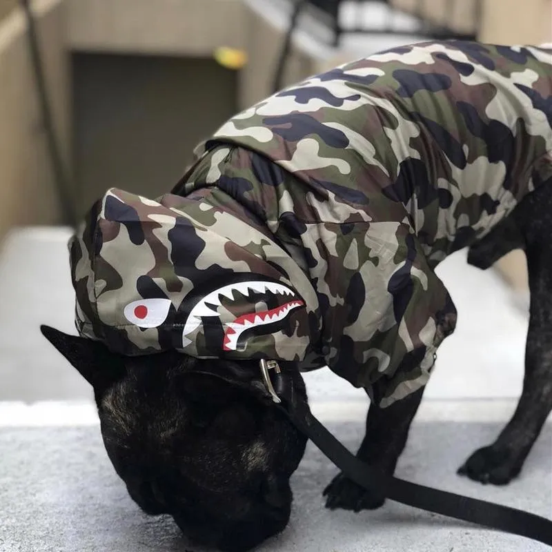 Bape dog hoodie sales
