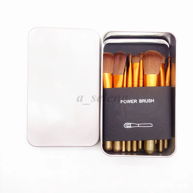 N3 Professional 12pcs Makeup Cosmetic Facial Brush Kit Metal Box Brush Sets Face Powder Brushes