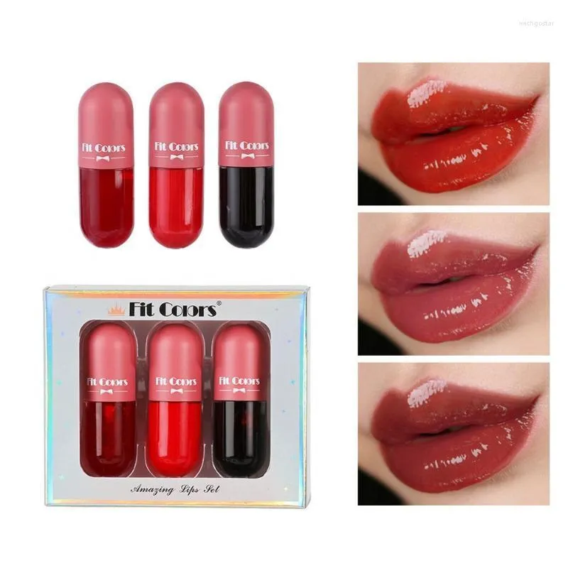 Lip Gloss 3 PCs/Definir mini hidratante transparente Óleo de revolução de cor Plump Makeup Cosmetic Wish22