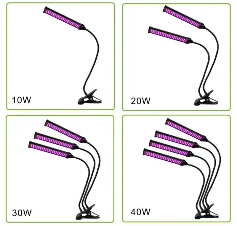 LED GROW Light 20W 40W 60W 80W DC 5V/12V USB -växtens tillväxtlampa Full spektrumljus för hydroponik växthus Röd/blå växtblomma växande