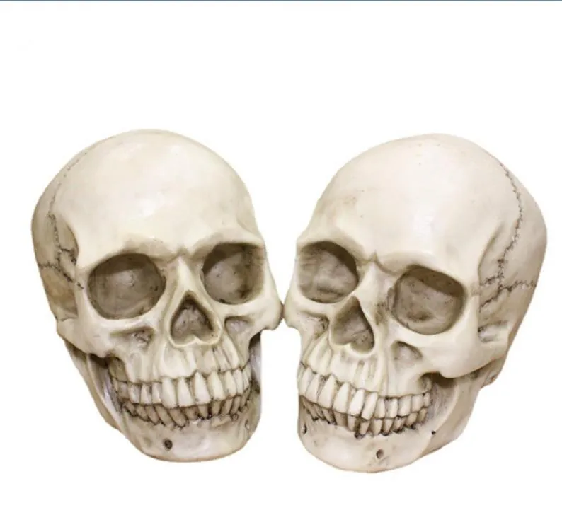 Schedel Hoofd Halloween Scary Party Decoratie Hars Realistische 1:1 Menselijk Hoofd Schedel Anatomisch Onderwijs Skelet Model Horror Big Size