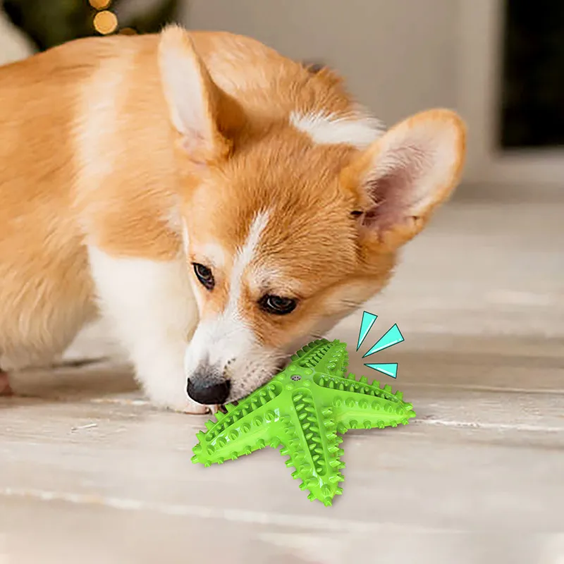 Husdjur levererar grossist hund leksaker och tuggar boll stjärnfisk röst tandborste molar stick grossist