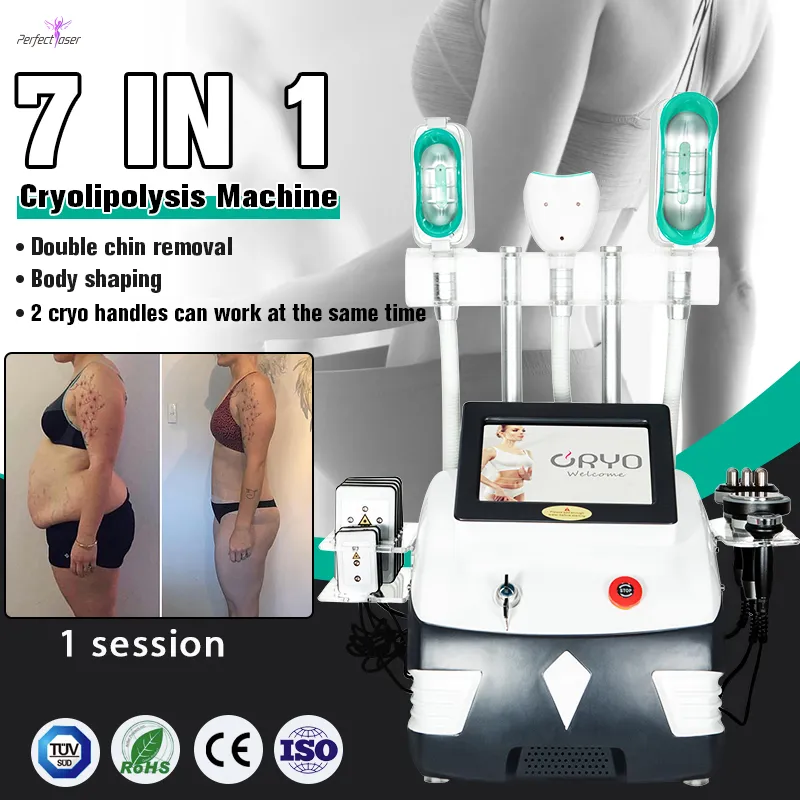 Portable cryolipolysis machine cryo lipolysis body slimming vacuum cavitation equipment Lipolaser rf radio frequency facial lift