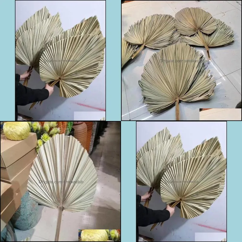 Decorative Flowers & Wreaths About 20*40CM/1PCS Dried Natural Plant Palm Leaves,DIY Dry Fan Leaf For Party Art Wall Hanging,Wedding