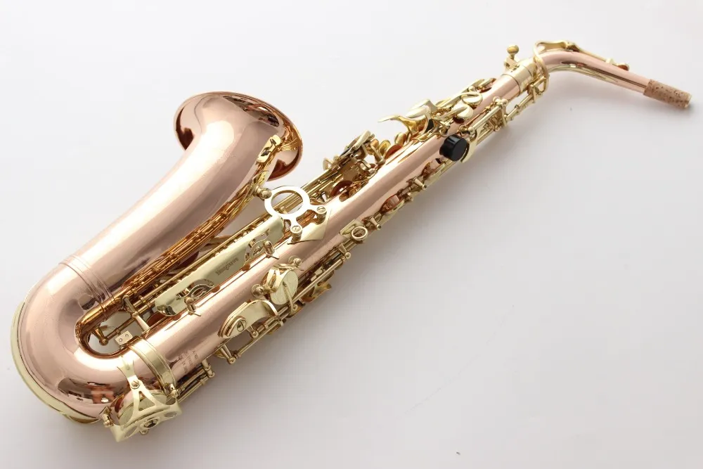 Professional Alto Saxophone - A-902 Style, Phosphor Bronze, Complete ...
