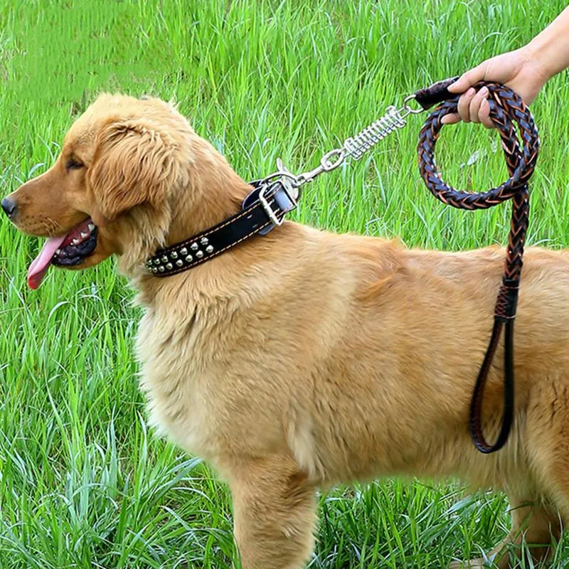 Obroże dla psów smyczy wysokiej jakości skórzana ręcznie smyczowa kołnierz elastyczna skurcz okrągły 1,2m wygodny uchwyt do średniego dużego dogdoga