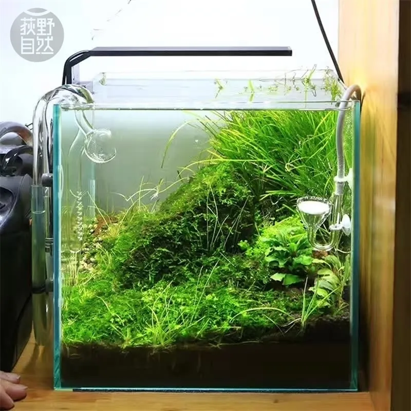 Chihiros C Series Ada Ada Estilo Planta Crescer LED Luz Mini Nano Clipe Aquário Água Planta Tanque de Peixe Novo Chegado! Y200917.