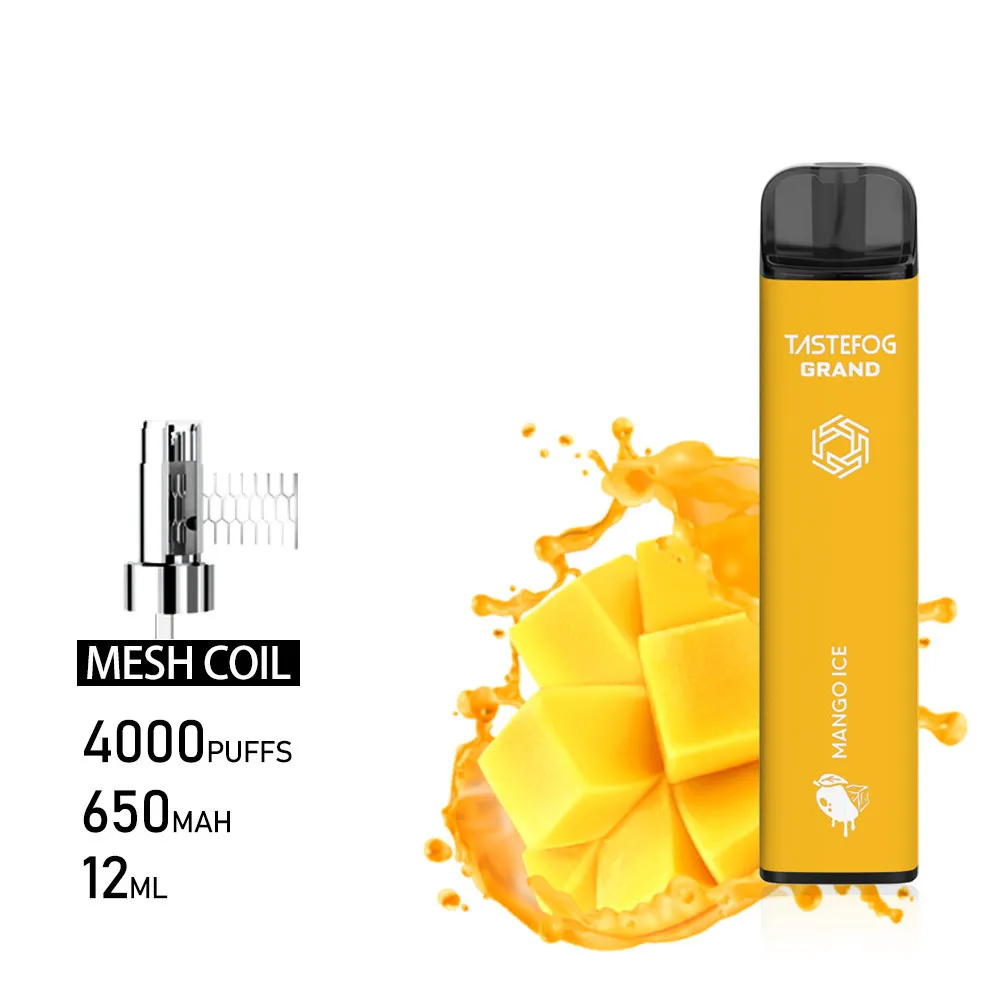 FF 12ml Fruchtaromen Einweg -Vapes mit 650 mAh wiederaufladbarer Batterie 4000puffs Plus