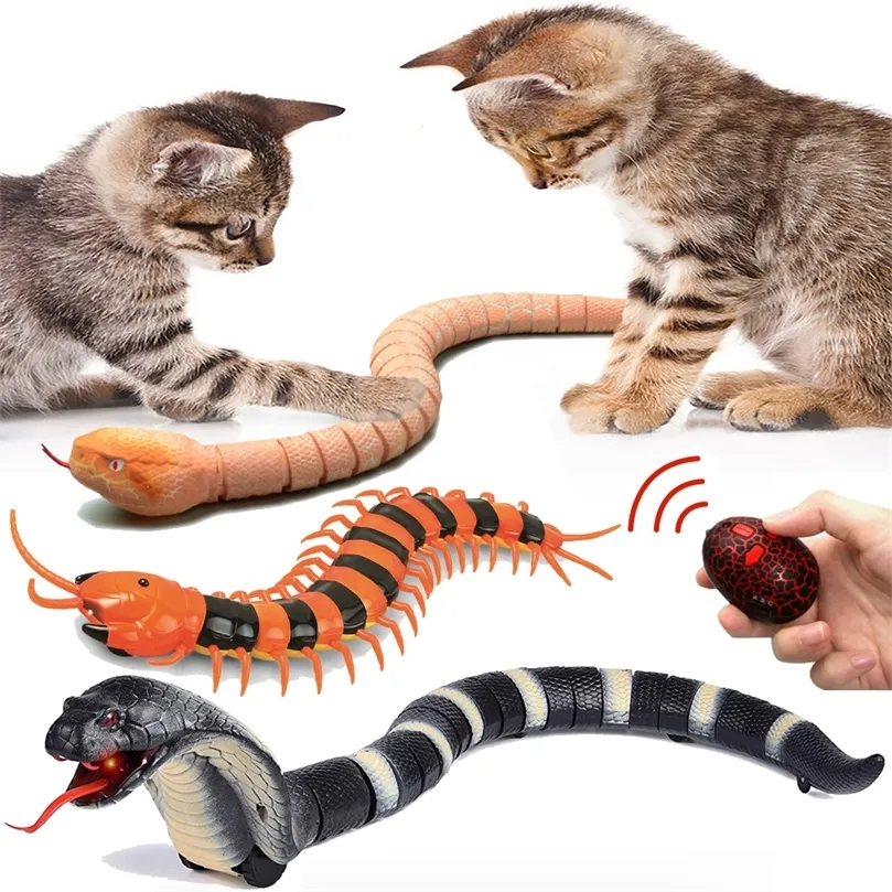 RC Télécommande Serpent Jouet Pour Chat Chaton En Forme D'oeuf Contrôleur Rattlesnake Interactive Serpent Chat Teaser Jouer Jouet Jeu Pet Kid 220423