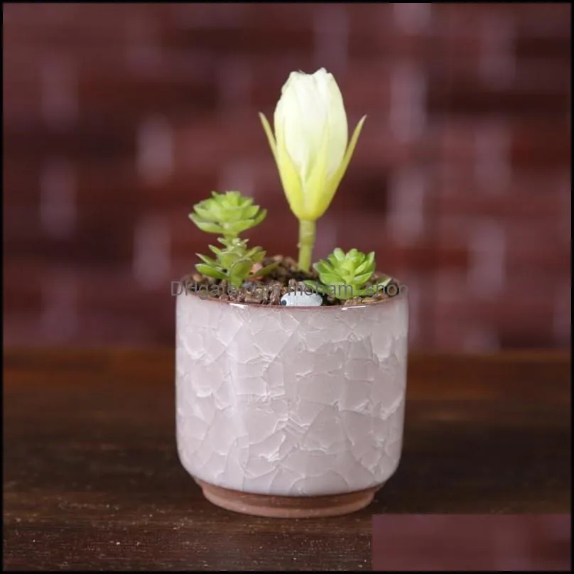 Ice Crack Flower Pots Succulent Garden Plants Pot Mini Thumb Desk Office Flowerpots Ceramic High Quality 3  BVkk