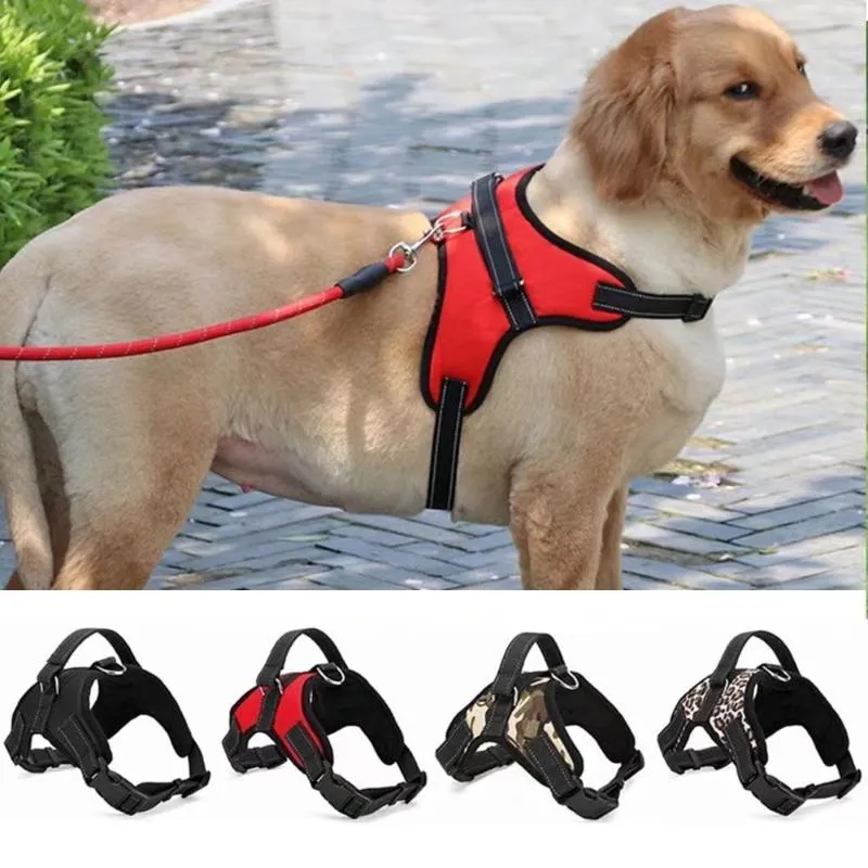 Hundhalsar Leases Sling Pet Chest and Back Traction Rope Cat Collar Setdog