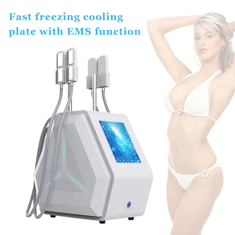 2 IN 1 cryolipolysis plate cryotherapy slimming machine cryo ems fat freeze system big power beauty Equipment