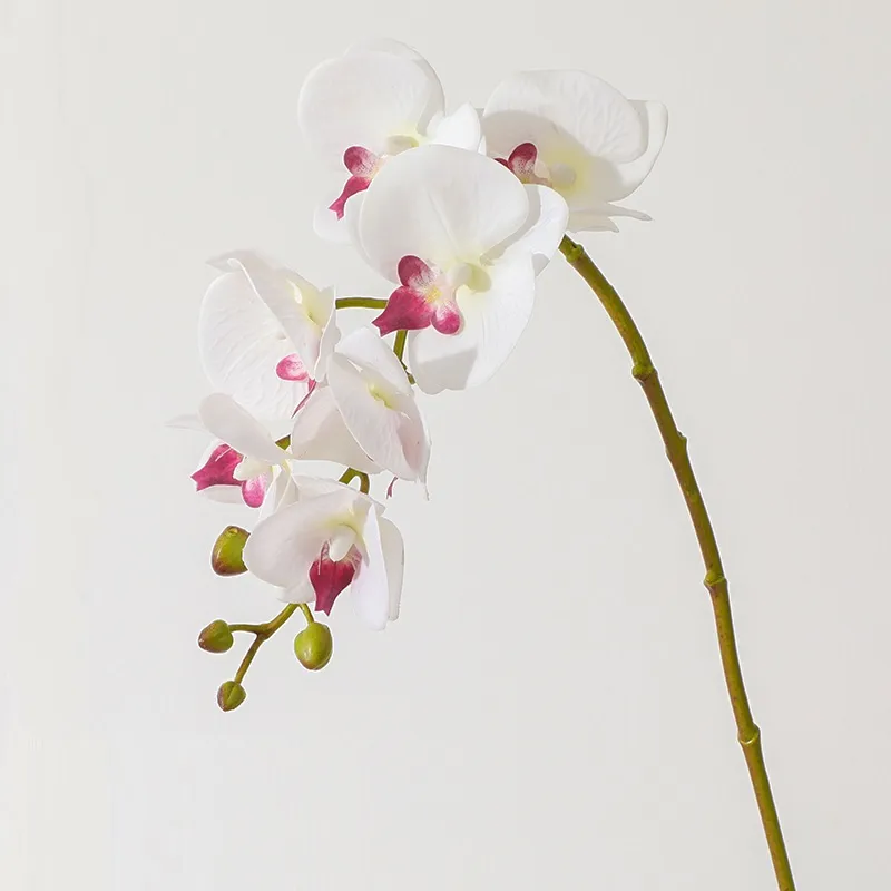 Fiori artificiali orchidee di fiori di seta Simulazione Phalaenopsis wedding home decor