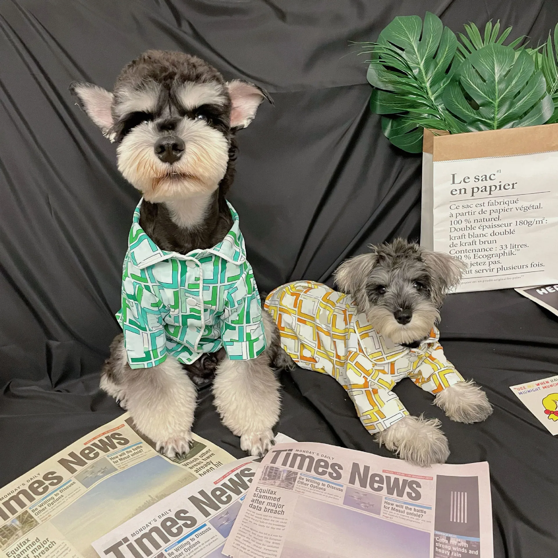 春の夏の手紙の犬のシャツのペット半袖猫ティー二重文字ペットTシャツ服