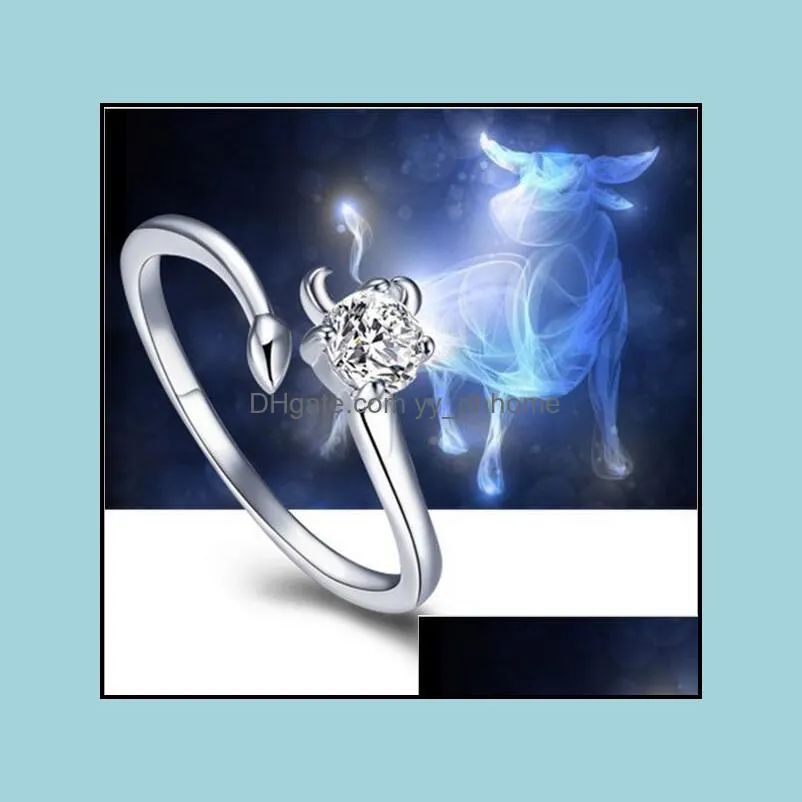 Zodiac 925 silver rings Female opening CZ Ring European and American retro women ring couple ring finger Rings Twelve constellations