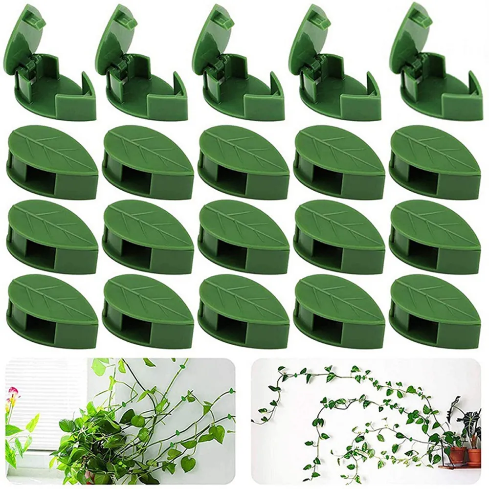 Clip De Fixation Végétale,Clips végétaux pour Plantes d'escalade, Plante  Invisible Plante Murale Clips (10